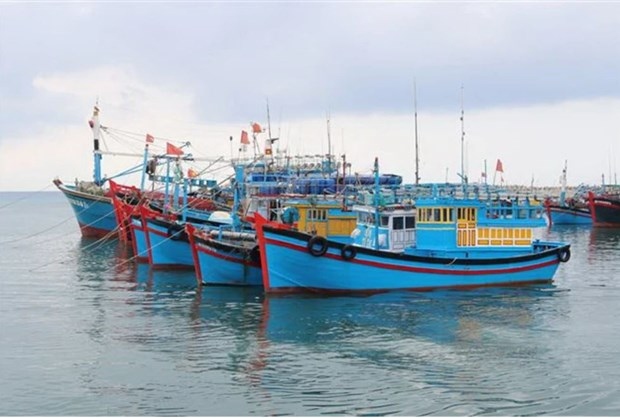 binh thuan province resolved to fight iuu fishing picture 1