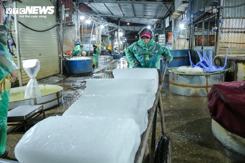 traders in yen so fish market make a living on freezing cold nights picture 11