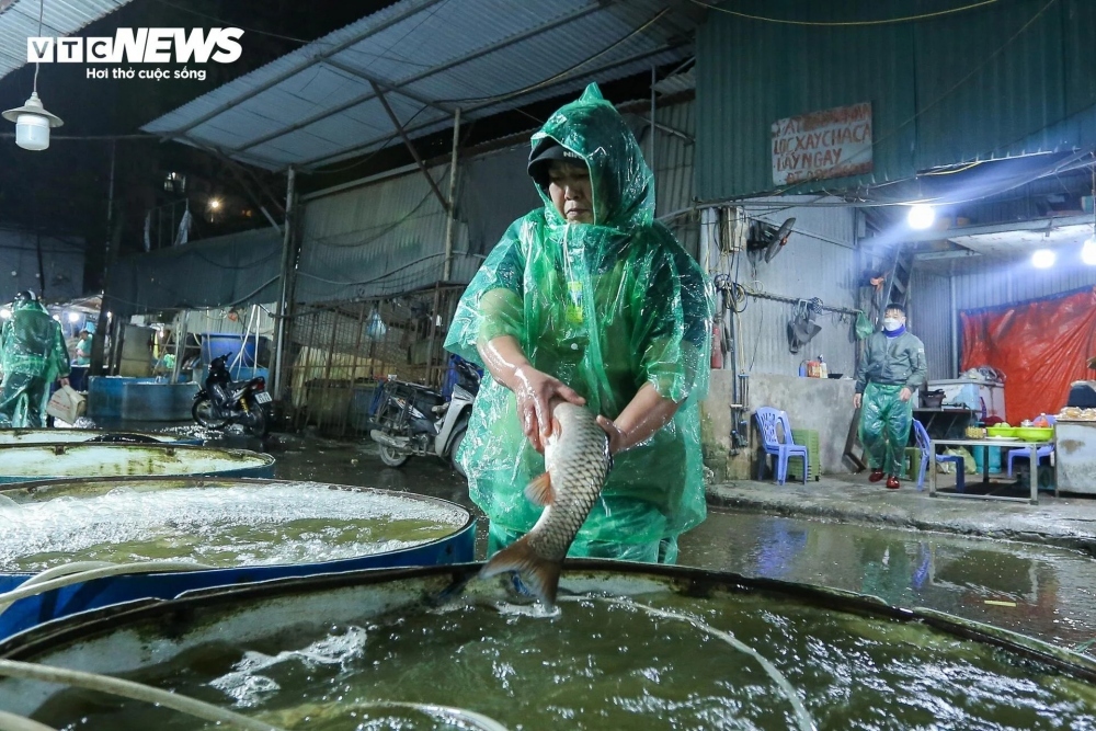 traders in yen so fish market make a living on freezing cold nights picture 5