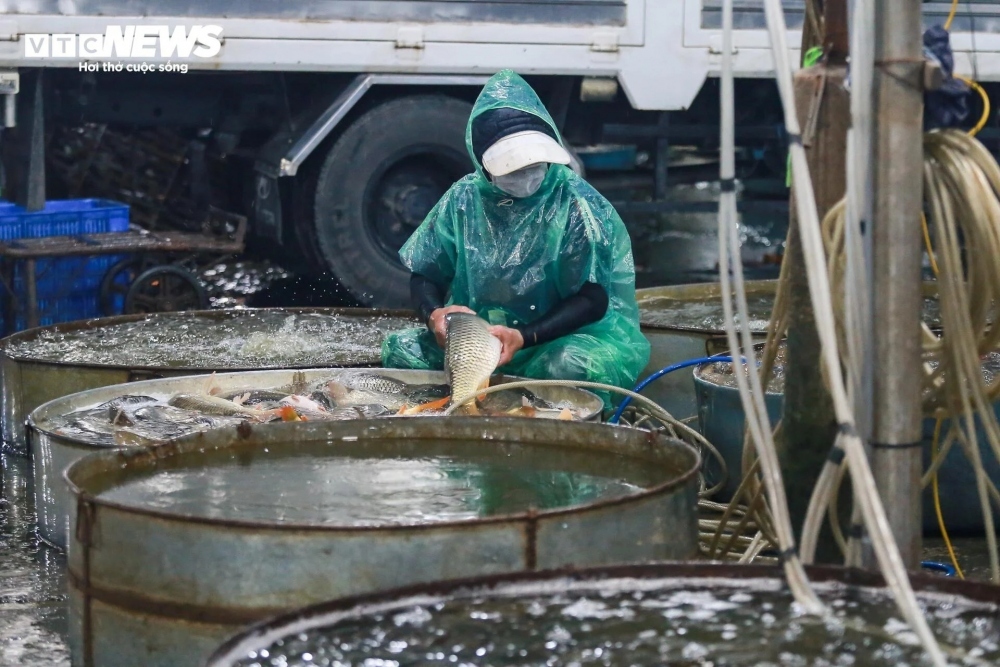traders in yen so fish market make a living on freezing cold nights picture 8