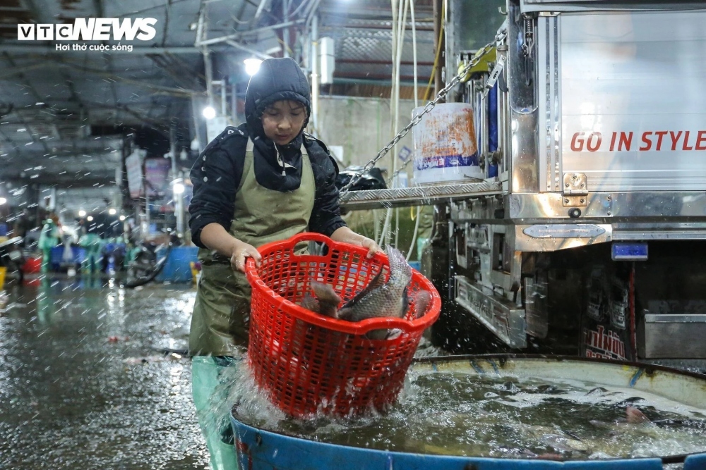 traders in yen so fish market make a living on freezing cold nights picture 9