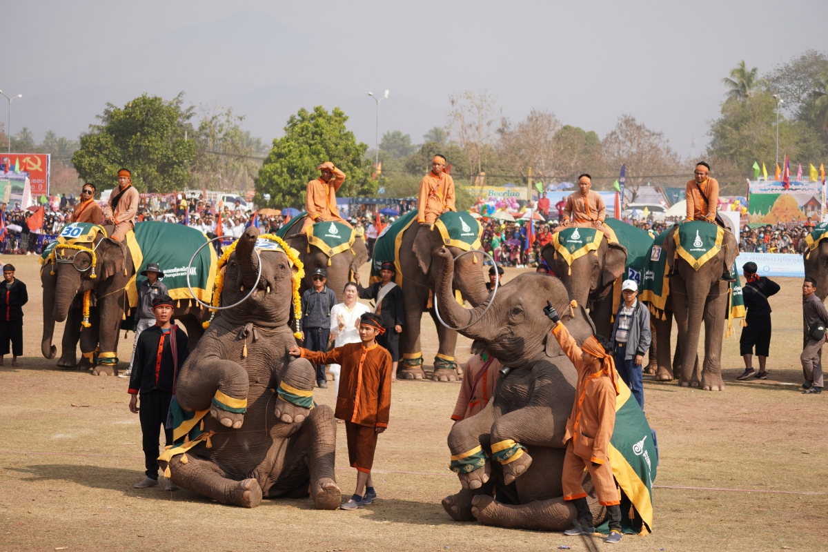 lao le hoi voi 2024 hua hen nhieu hoat dong hap dan hinh anh 1