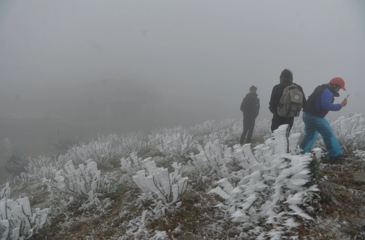 tourists flock to see frost on mau son peak picture 3