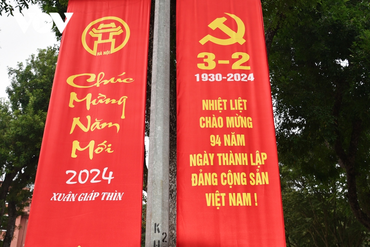 colourful decorations spring up across hanoi to ring in lunar new year picture 6
