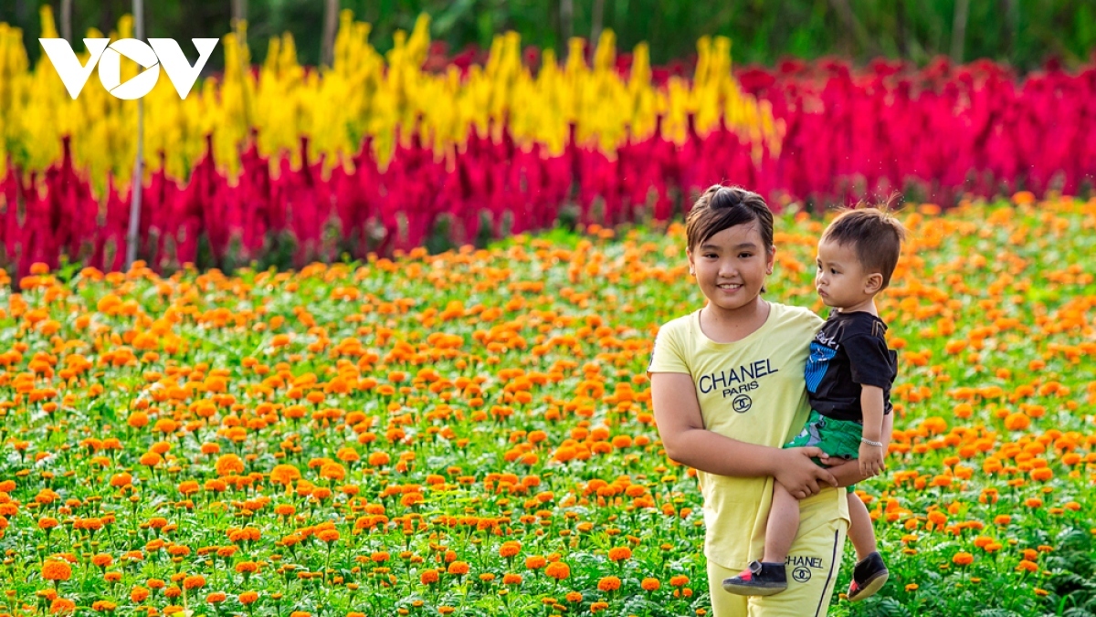 binh duong flower village in full bloom ahead of new year picture 7