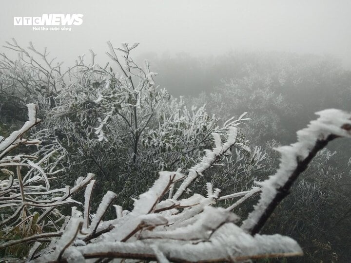 mau son peak covered in frost as temperatures sink to -1.1 degrees celsius picture 3