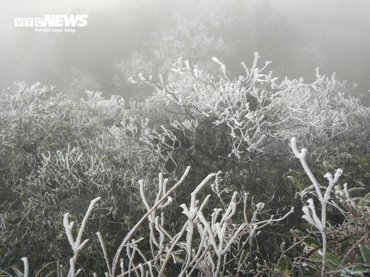 mau son peak covered in frost as temperatures sink to -1.1 degrees celsius picture 4