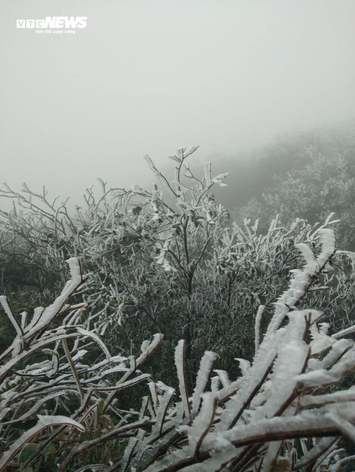 mau son peak covered in frost as temperatures sink to -1.1 degrees celsius picture 5