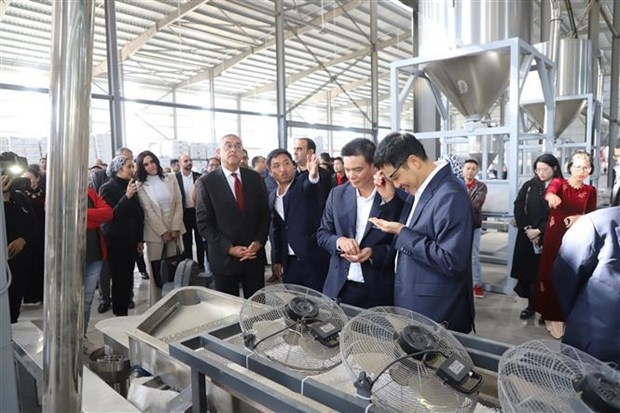 first vietnamese factory inaugurated in egypt picture 1