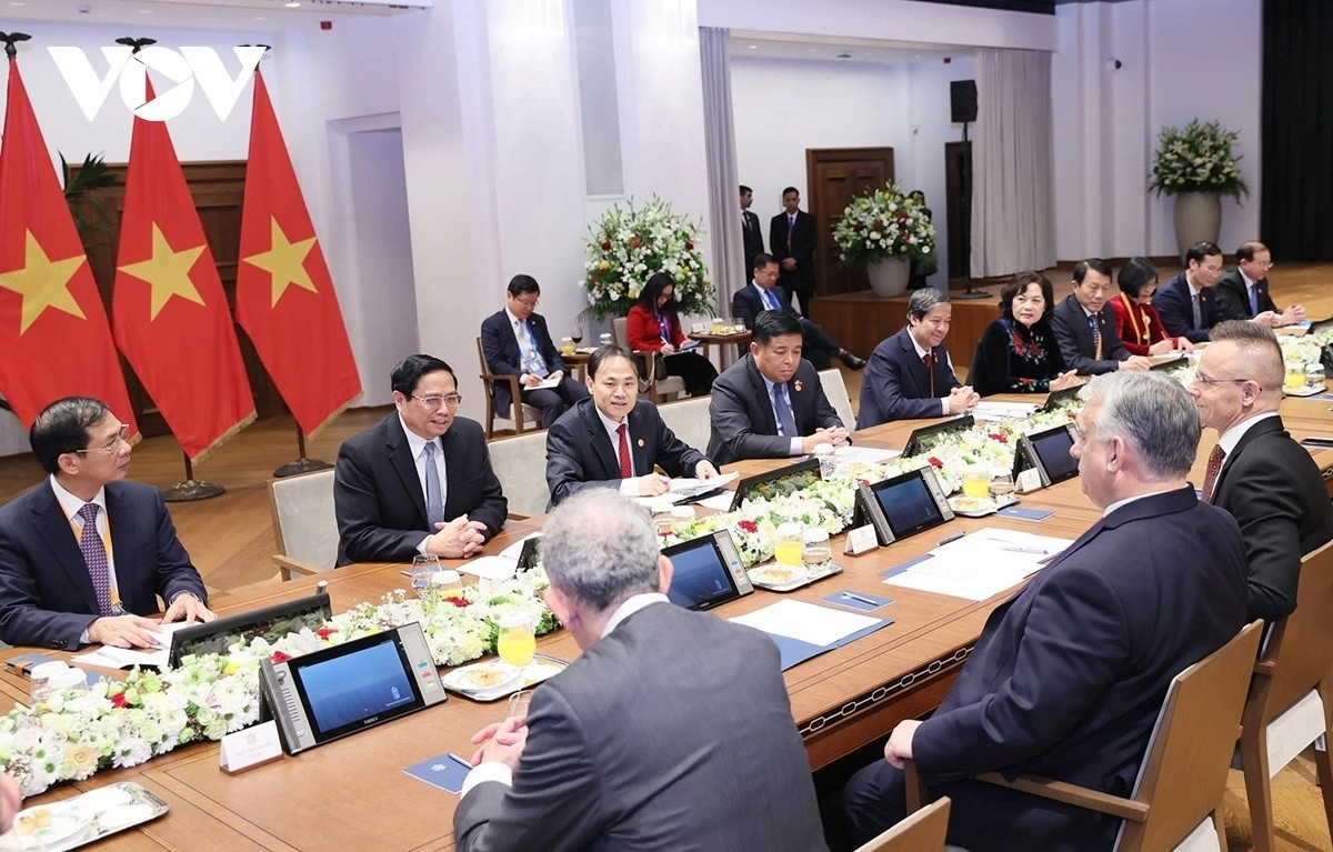 vietnam and hungary vow to take comprehensive partnership to new heights picture 1
