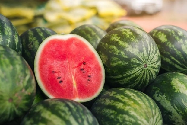 protocol expected to raise vietnamese watermelon shipments to china picture 1
