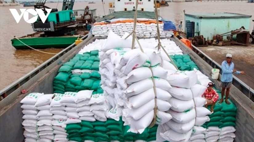 vietnam s export rice price plummets in global market picture 1