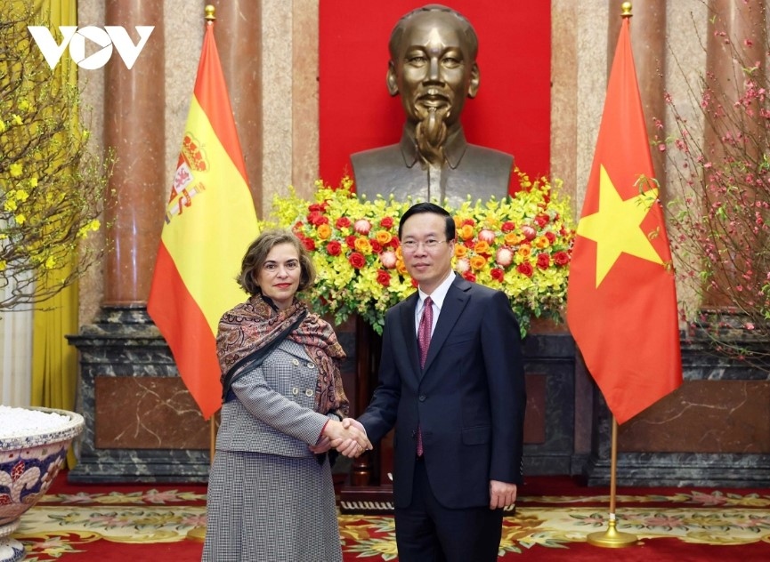vietnamese state leader receives ambassadors picture 2