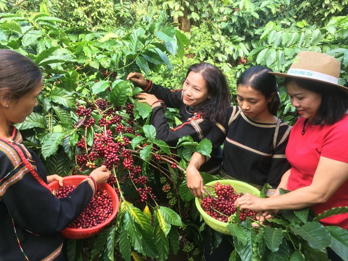 Đưa Tây Nguyên trở thành vùng phát triển nhanh, bền vững