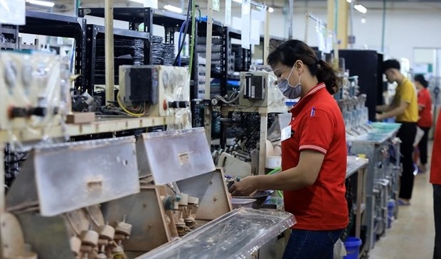vietnam to log 230,500 more businesses this year picture 1