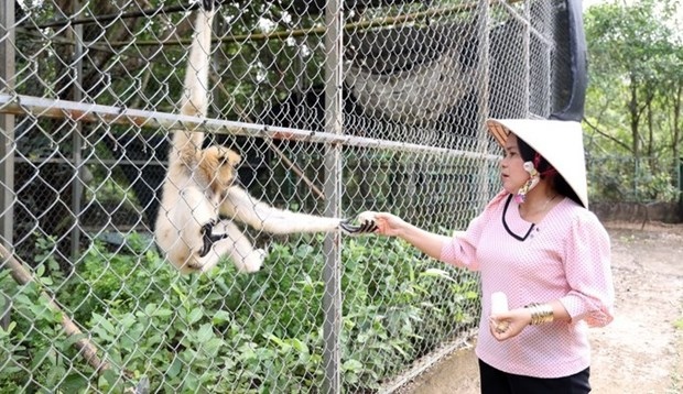 u minh thuong national park to leverage ecotourism to lure new tourist dollars picture 1 u minh thuong national park to leverage ecotourism to lure new tourist dollars picture 1