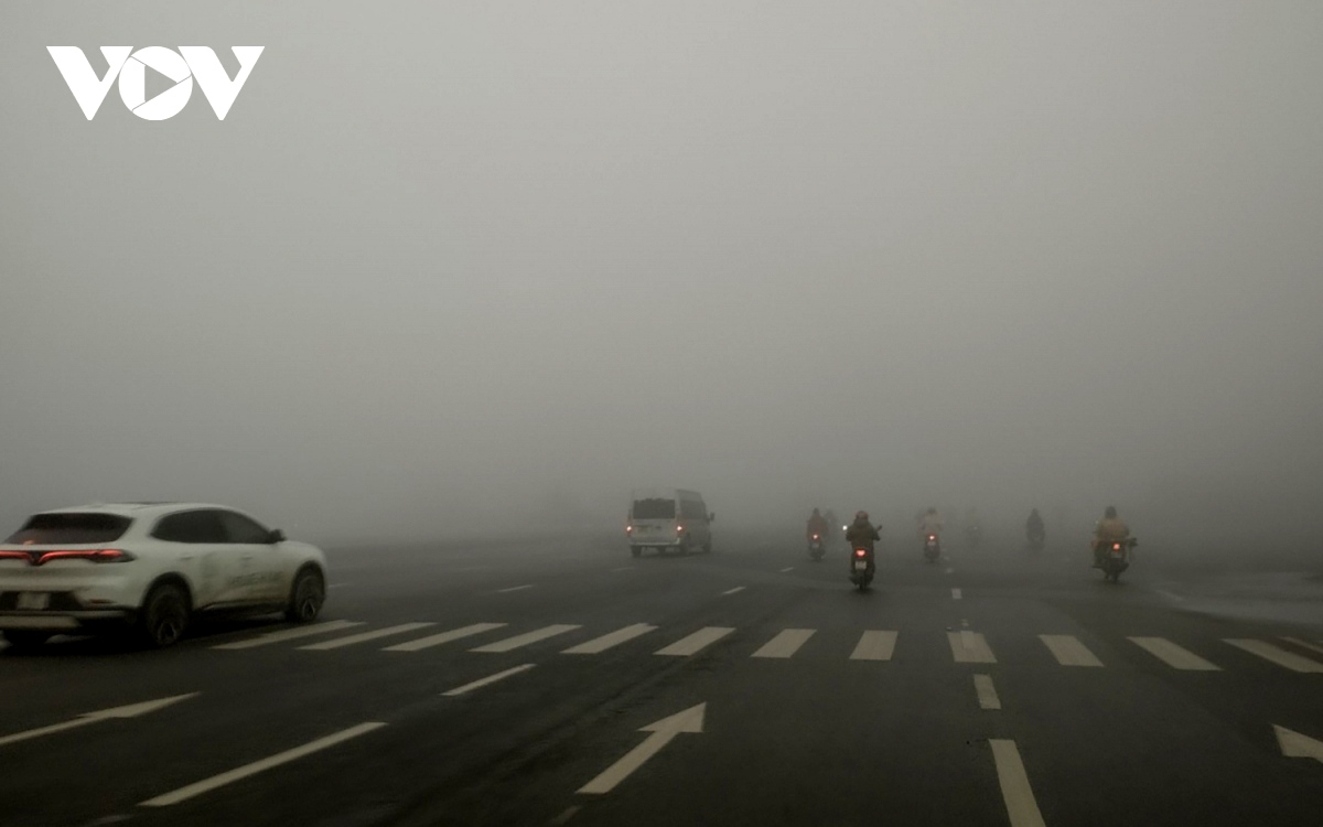 fog blankets capital city, visibility falls to 10 metres picture 2