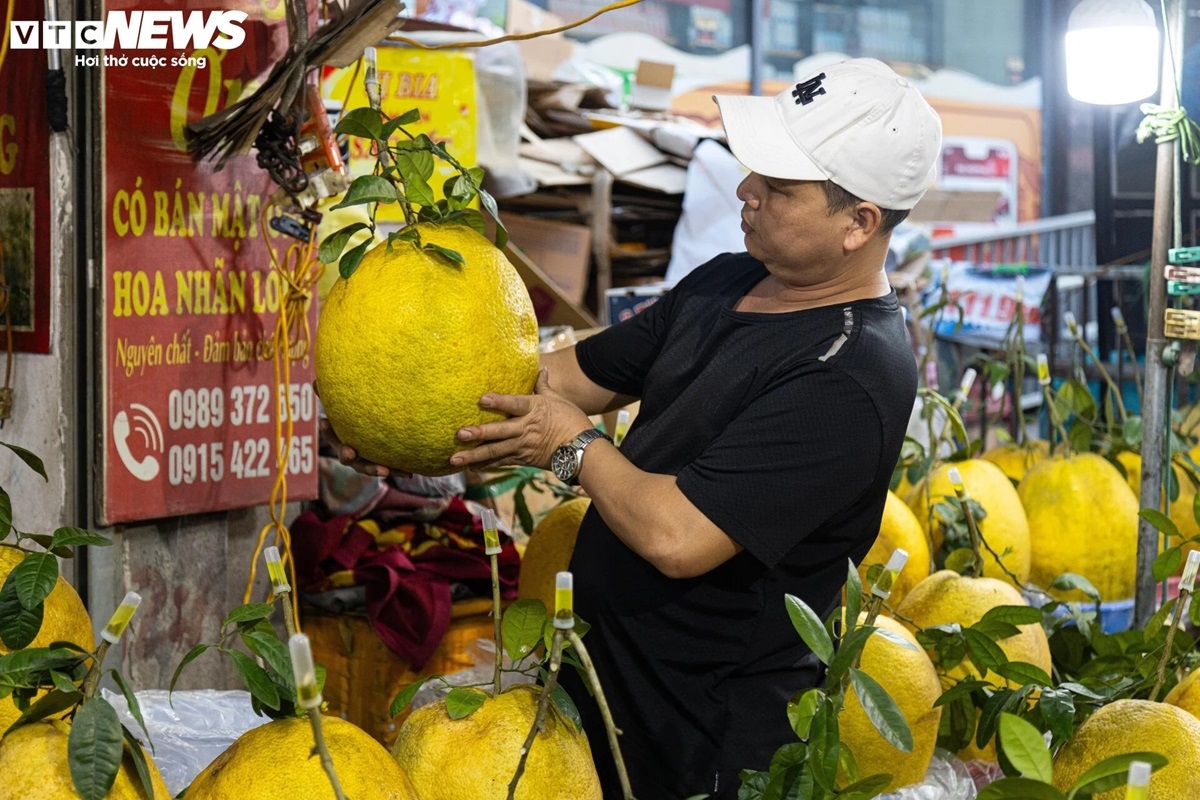 bong ky Da khong lo gia tien trieu hut khach choi tet hinh anh 2
