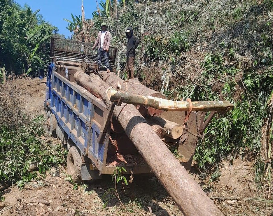 Quảng Ngãi tạm giữ 2 xe vận chuyển gỗ trái phép