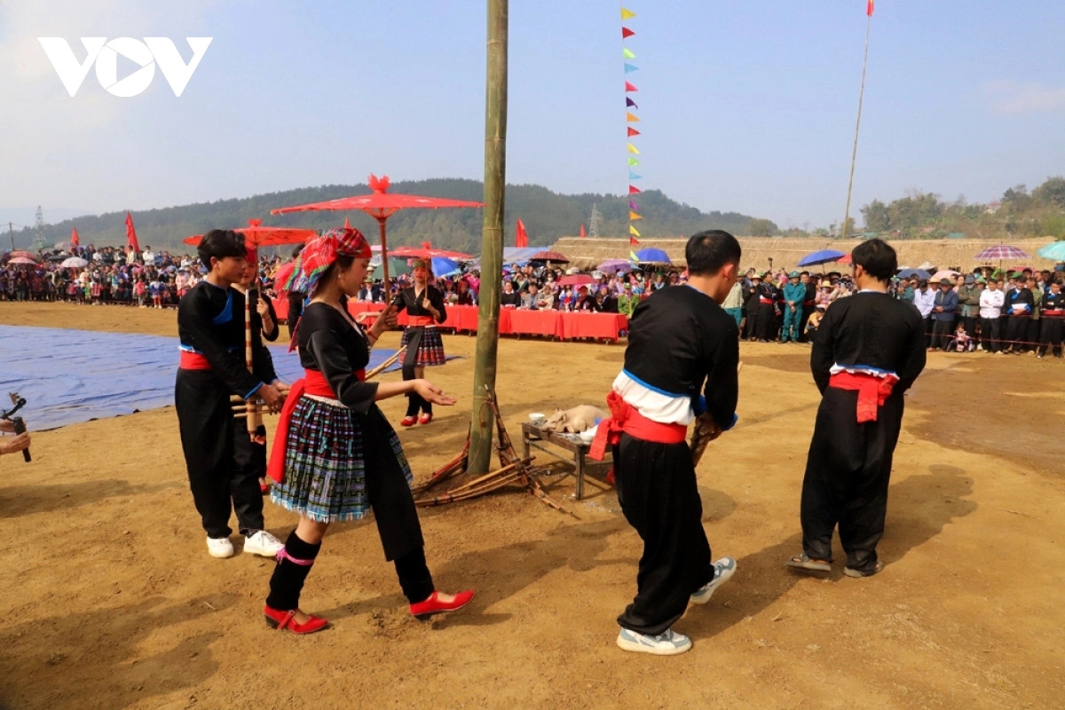 distinctive gau tao spring festival of the mong in northern vietnam picture 3