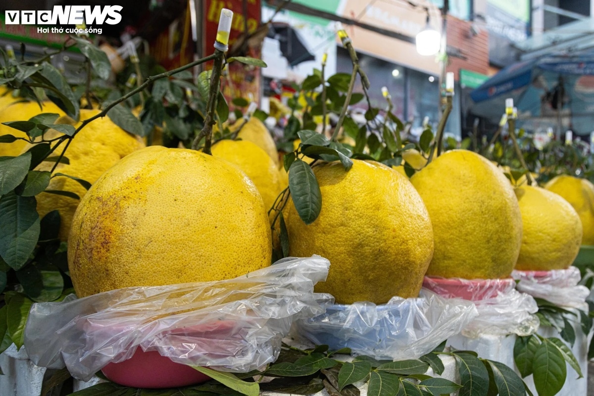 bong ky Da khong lo gia tien trieu hut khach choi tet hinh anh 3