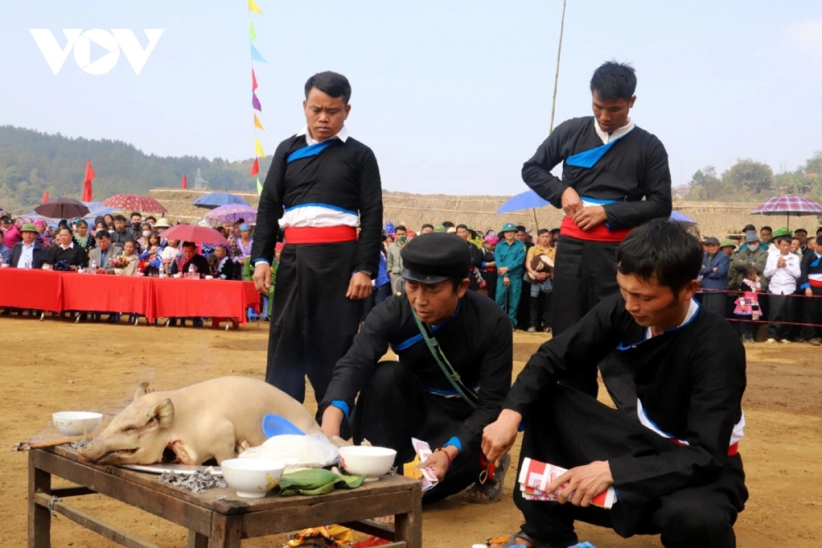 distinctive gau tao spring festival of the mong in northern vietnam picture 4