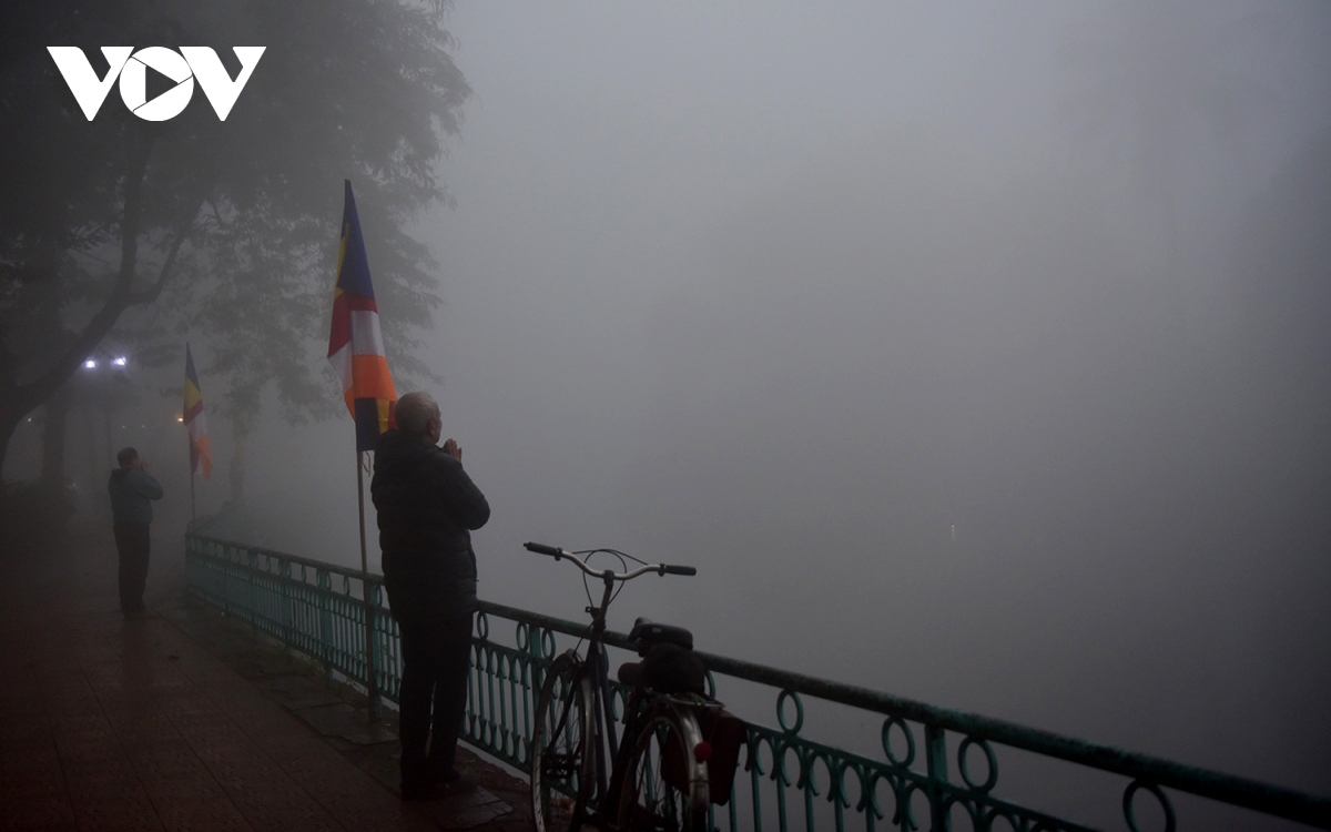 fog blankets capital city, visibility falls to 10 metres picture 4