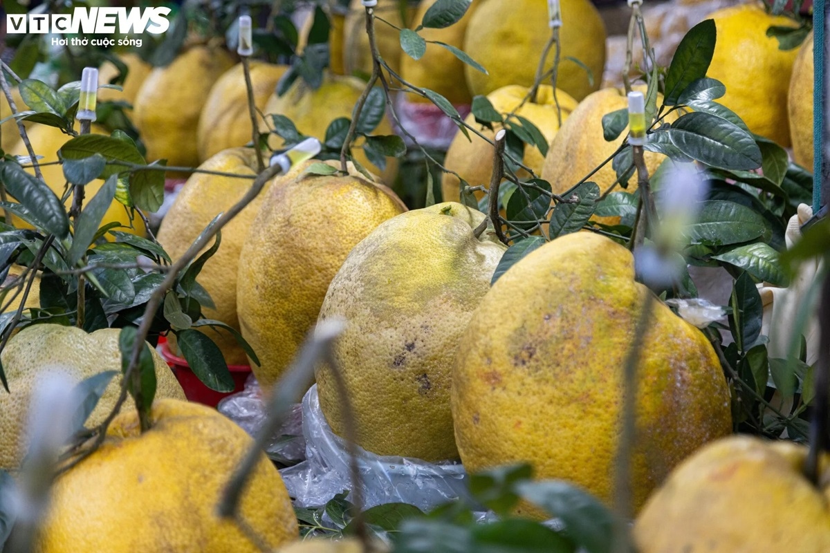 bong ky Da khong lo gia tien trieu hut khach choi tet hinh anh 4