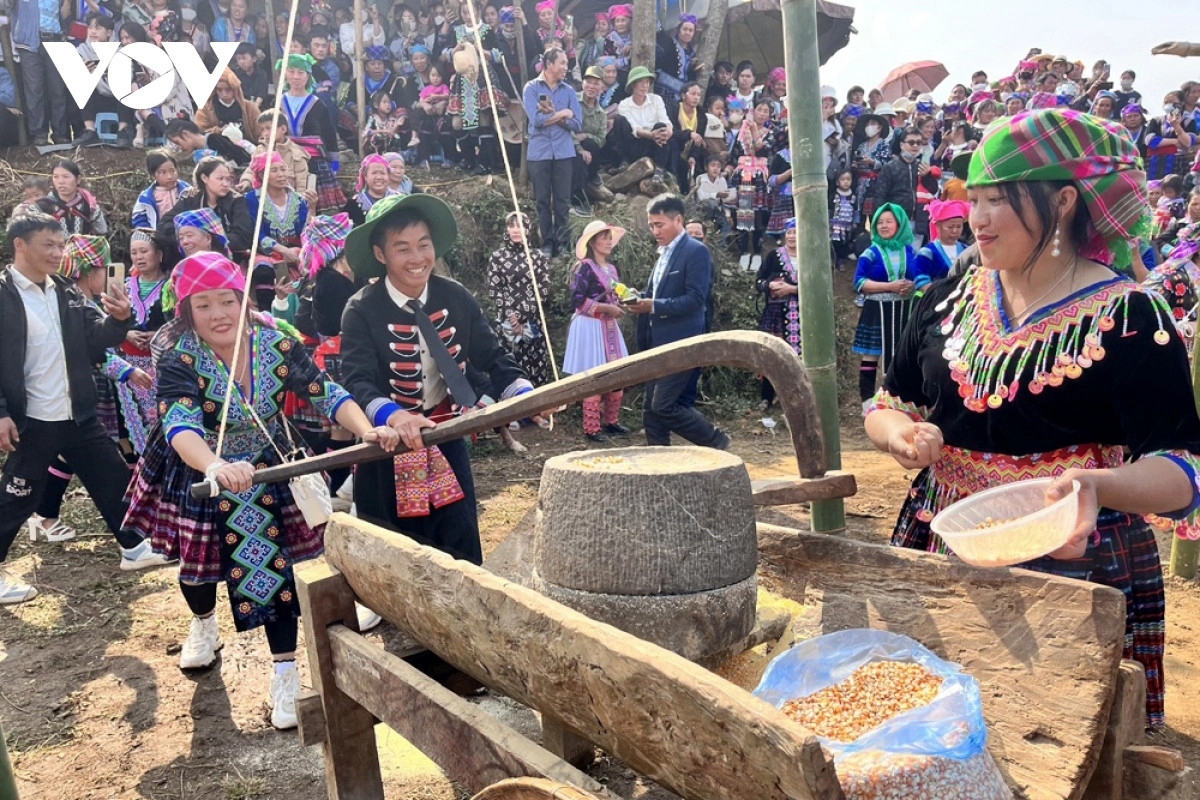 distinctive gau tao spring festival of the mong in northern vietnam picture 5