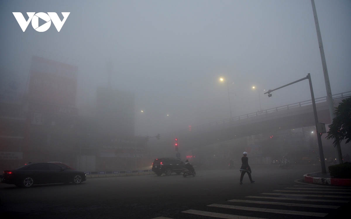 fog blankets capital city, visibility falls to 10 metres picture 5