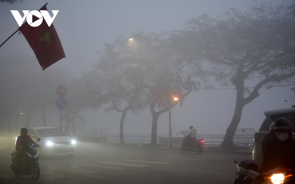 fog blankets capital city, visibility falls to 10 metres picture 10