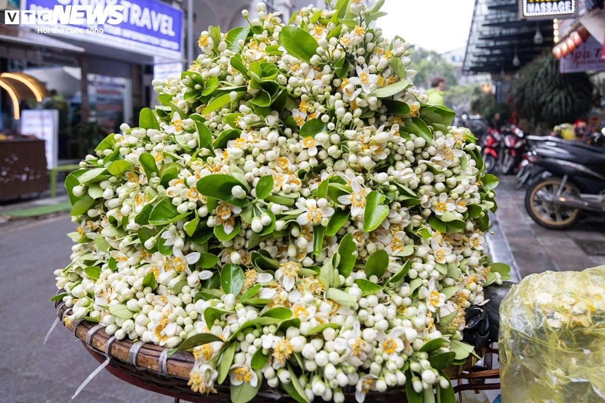 hanoi s market bustling for first full moon festival picture 6