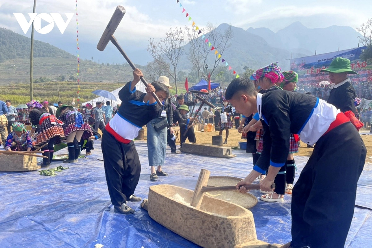 distinctive gau tao spring festival of the mong in northern vietnam picture 8