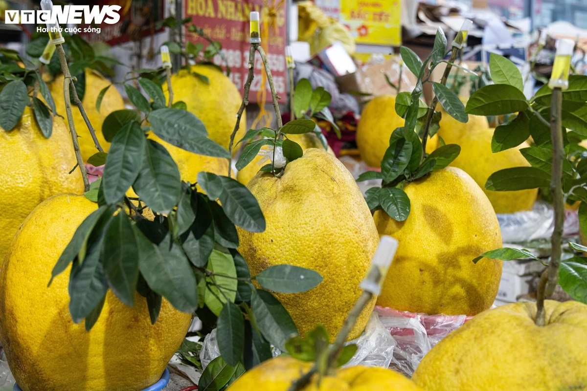 bong ky Da khong lo gia tien trieu hut khach choi tet hinh anh 8