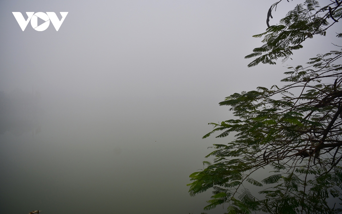 fog blankets capital city, visibility falls to 10 metres picture 8