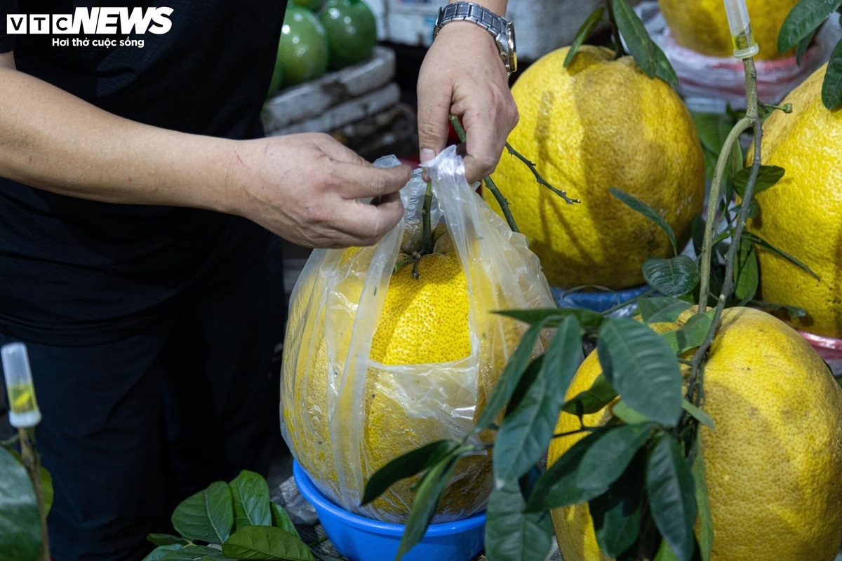bong ky Da khong lo gia tien trieu hut khach choi tet hinh anh 9