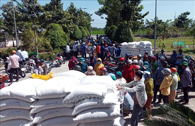 needy people to get rice from national reserves ahead of tet holiday picture 1