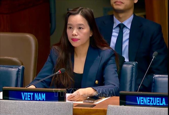 vietnam vows to realize 2030 agenda for sustainable development picture 1