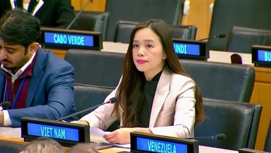 vietnam highlights un charter s values and principles picture 1
