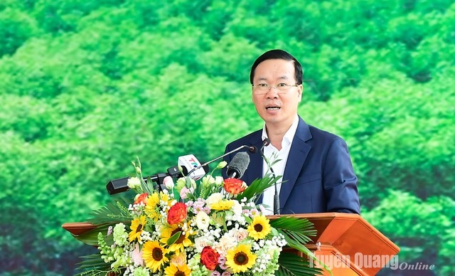 state president launches tree planting festival 2024 picture 1