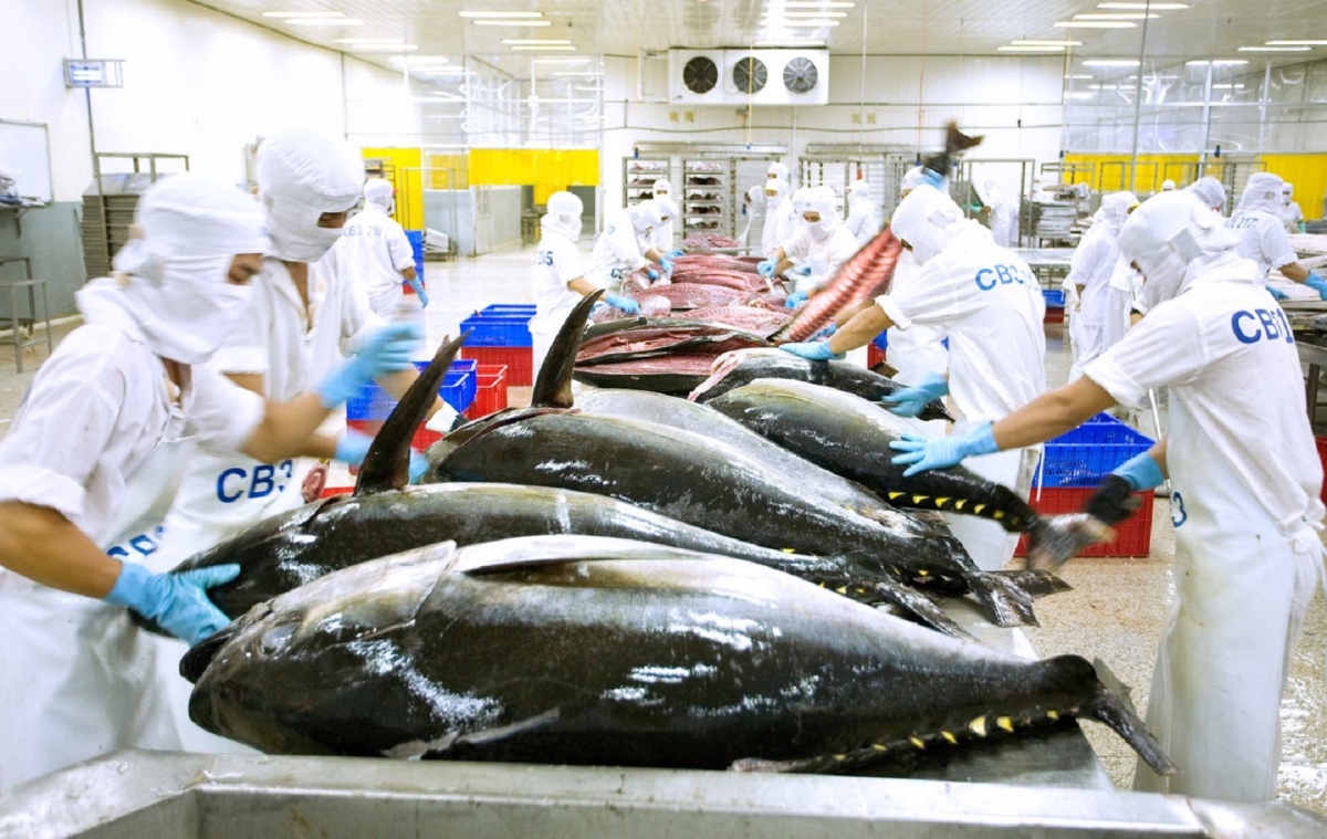 Middle East emerges as fourth largest consumer of Vietnamese tuna