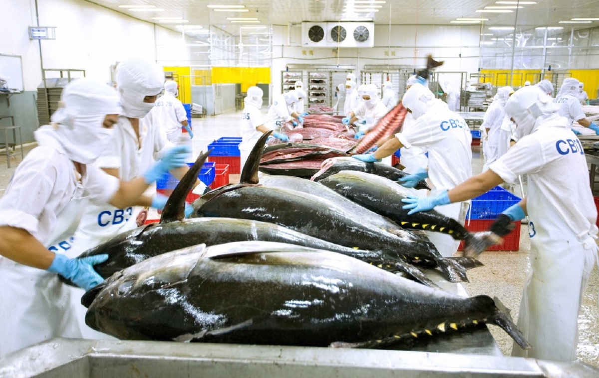 middle east emerges as fourth largest consumer of vietnamese tuna picture 1