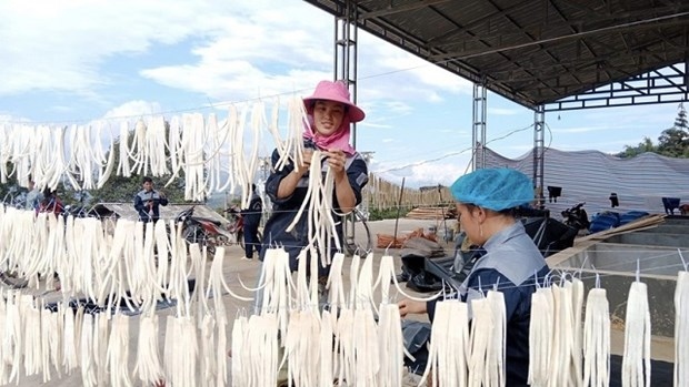 first container of ha giang pickled daikon in 2024 exported to japan picture 1