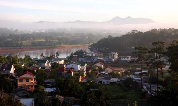 da lat enjoys growth in tourist arrivals during tet holiday picture 1