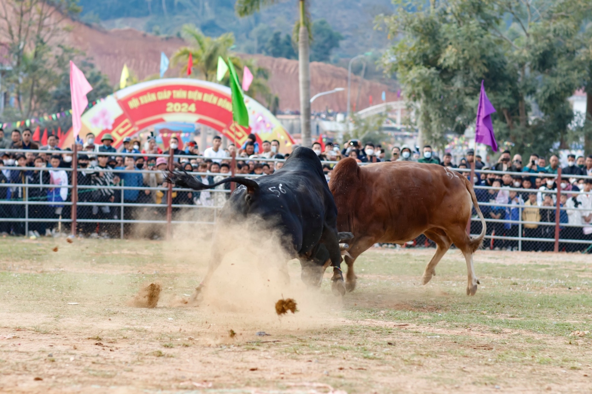 hang nghin nguoi du hoi thi dau bo dau xuan o Dien bien mung 2 tet hinh anh 4