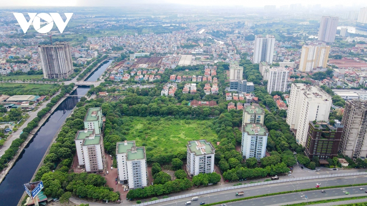  bo khung gia dat nhu thao vong kim co, go kho cho xa hoi hinh anh 1