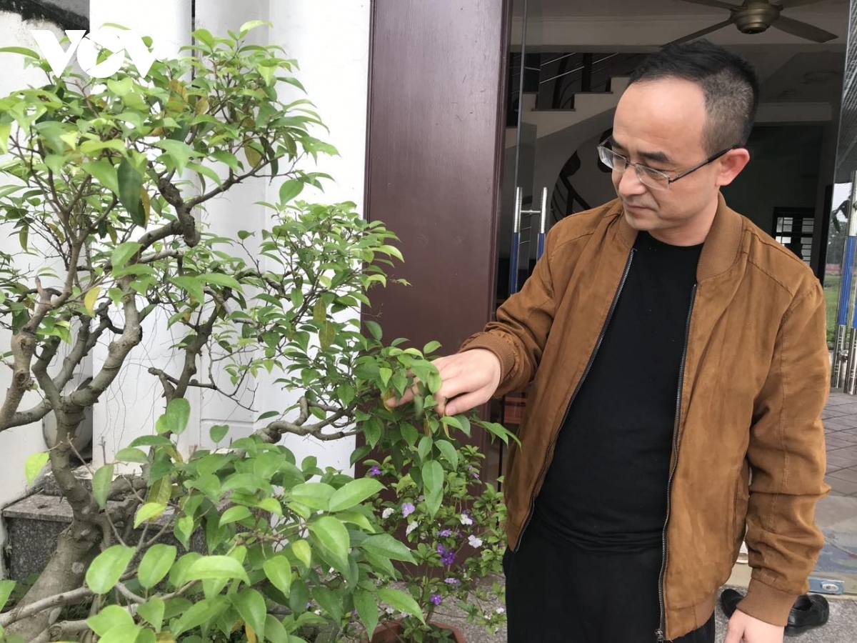 chinese man enjoys joyful tet in vietnam picture 1