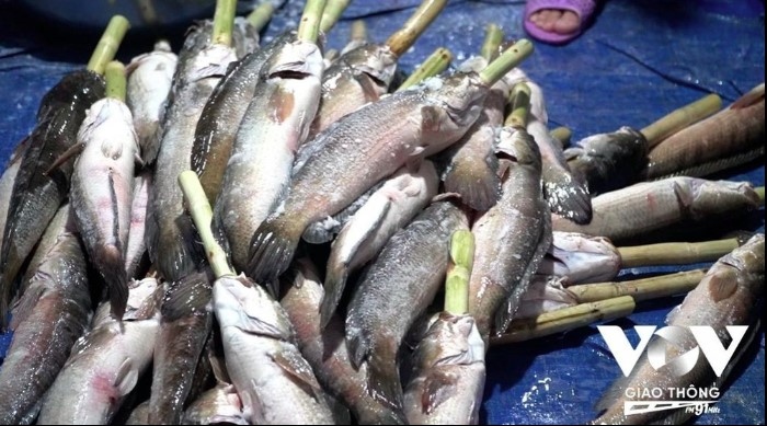grilled snakehead fish on offer for god of wealth day picture 6