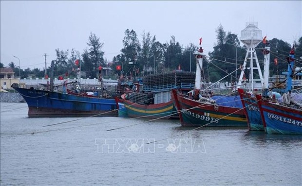 mard urges examination of fishing vessels without tracking picture 1