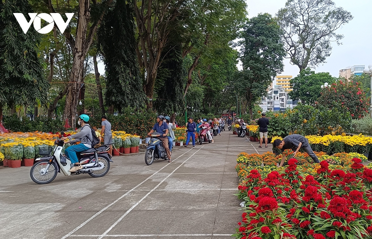 ornamental flowers for tet flock to ho chi minh city picture 2